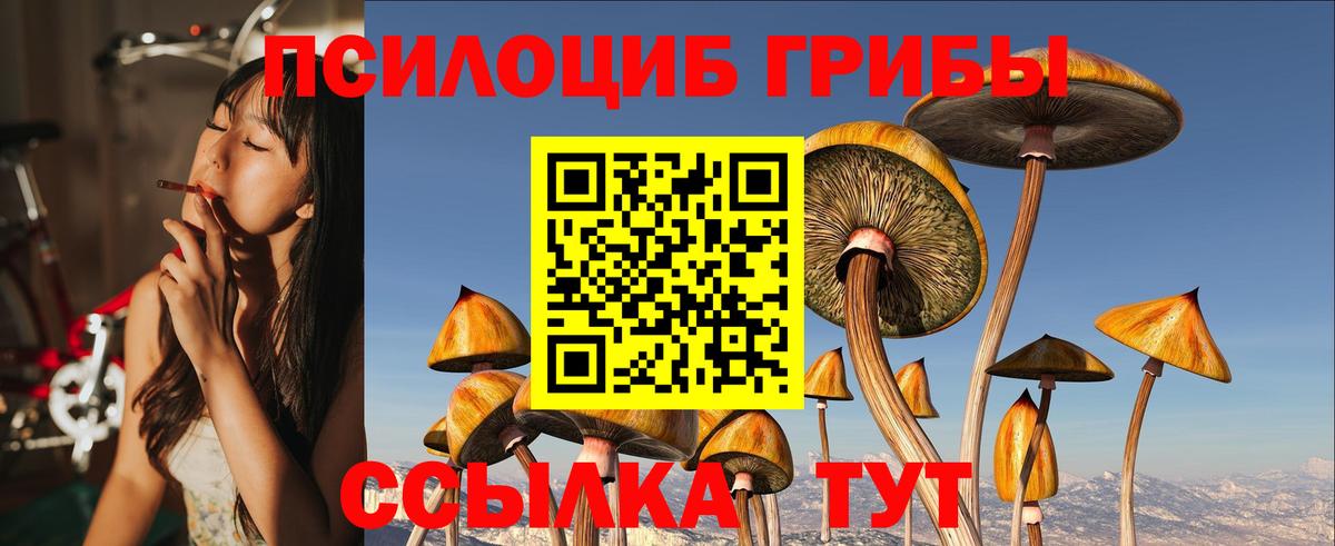 Псилоцибиновые грибы мицелий Тамбов