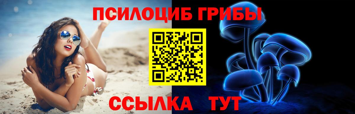 Псилоцибиновые грибы прущие грибы  Вход с VPN  Тамбов 
